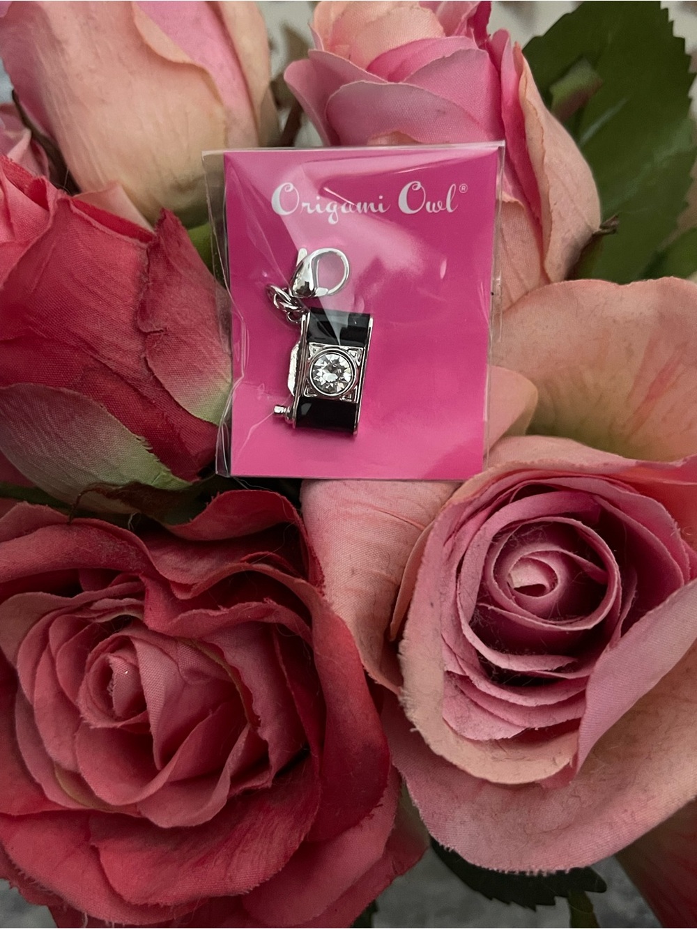 Origami Owl- camera dangle crystal Swarovski